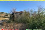 Fabbricato rurale vista mare con terreno e 130 piante di ulivo 